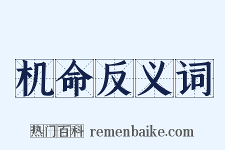 机命反义词是什么意思的图片